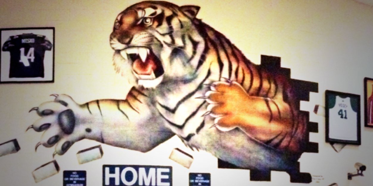 5GTigerBBall's profile banner image