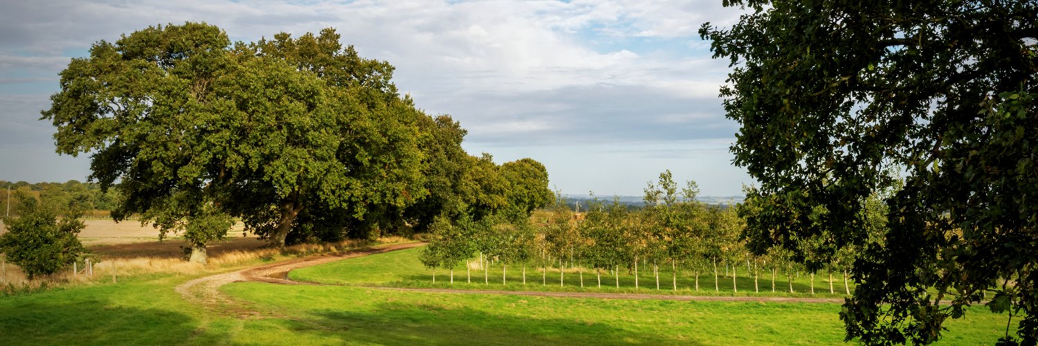 jez224's profile banner image