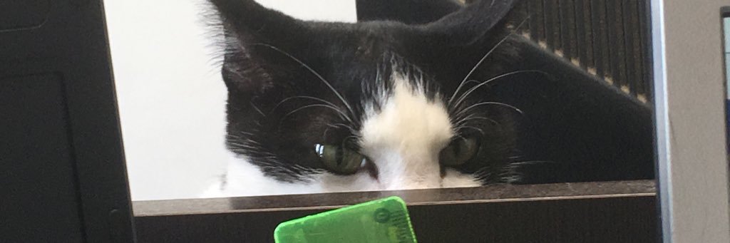 FelixMayrah's profile banner image