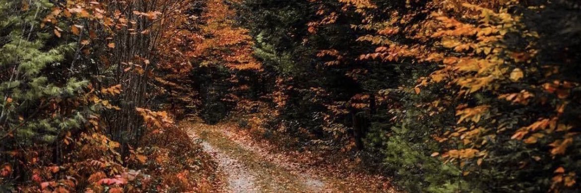 _conorlea's profile banner image