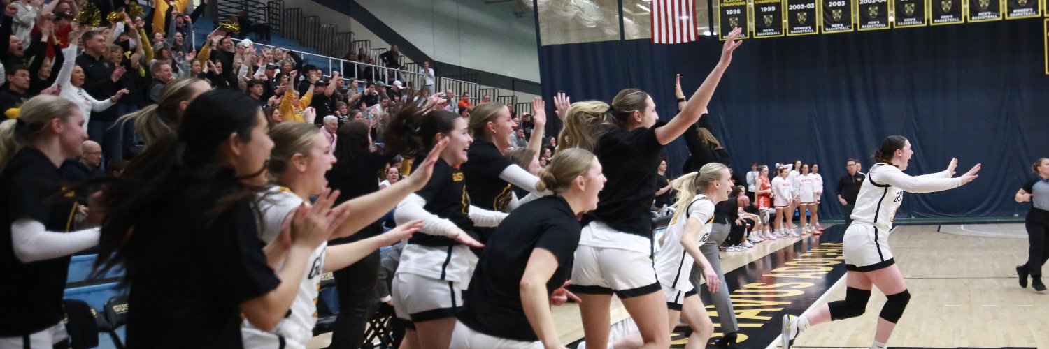 Gustavus Women's Basketball banner