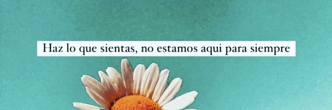 julirogalvan's profile banner image