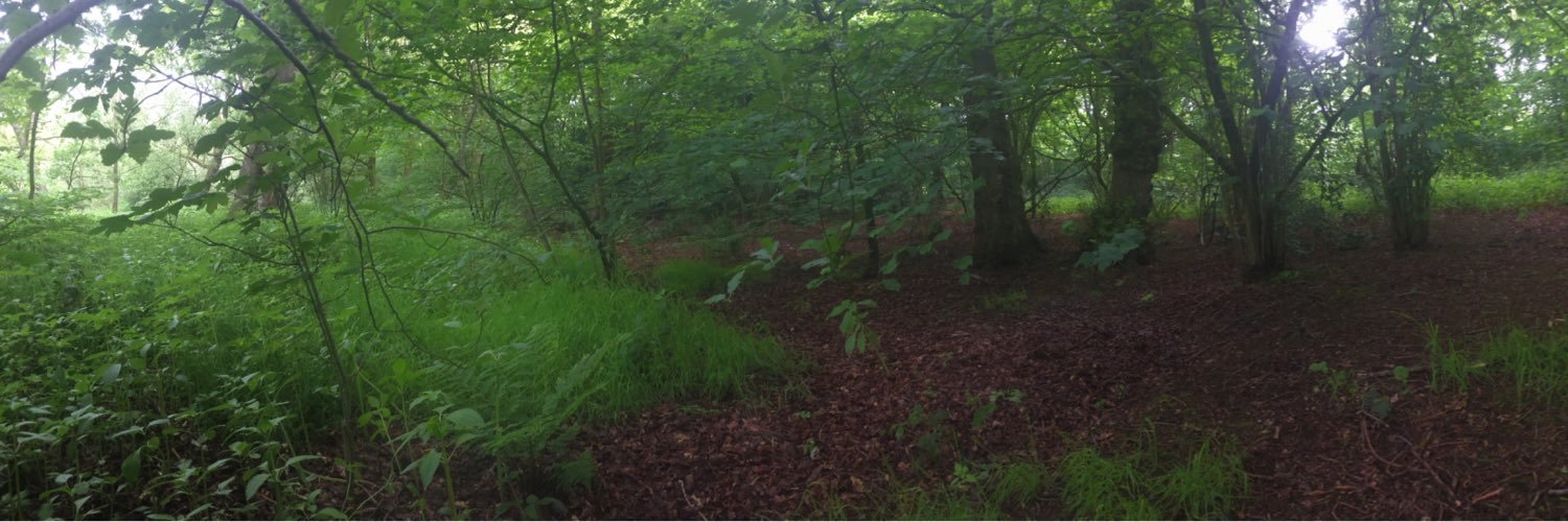 Pudda_'s profile banner image