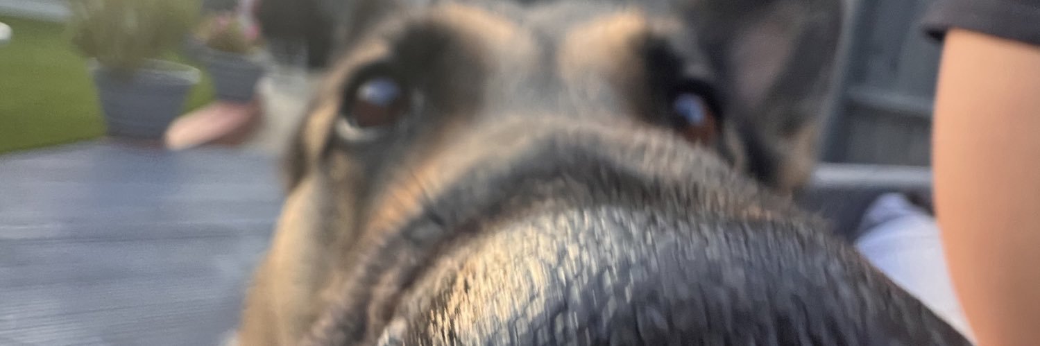 AntJamDun's profile banner image