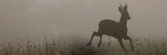 ˏˋ°•*⁀➷ Azariah ˊˎ- banner