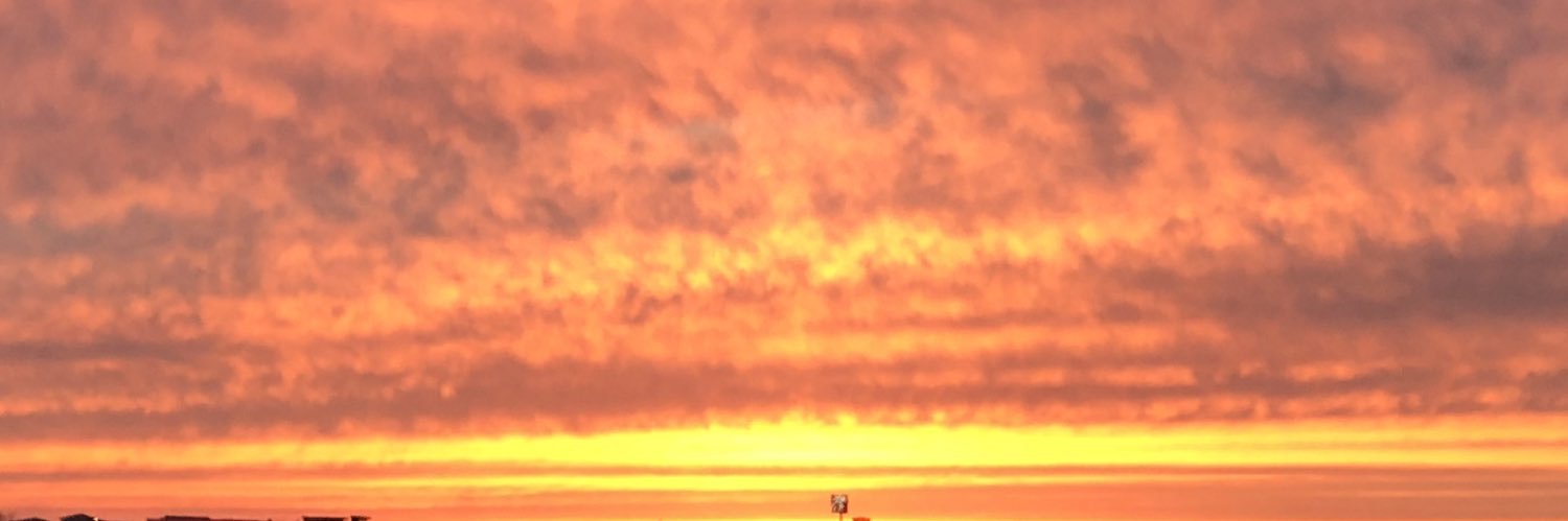 e_treesa's profile banner image