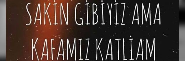 seldaksuu's profile banner image