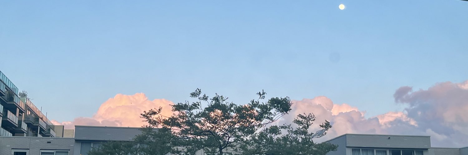 Elgu 🦔 banner