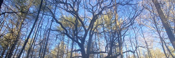 nolan_farris Profile Banner