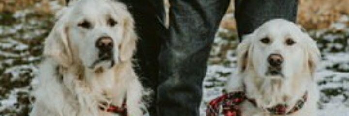 MikeWhelan10's profile banner image