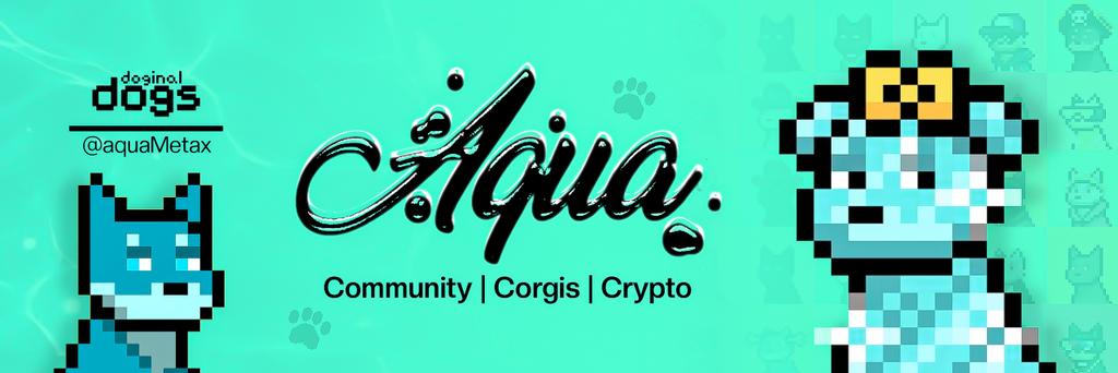 Aqua's banner