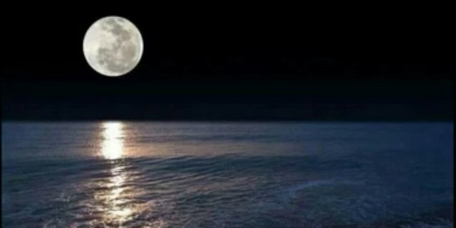 shar3ani's profile banner image