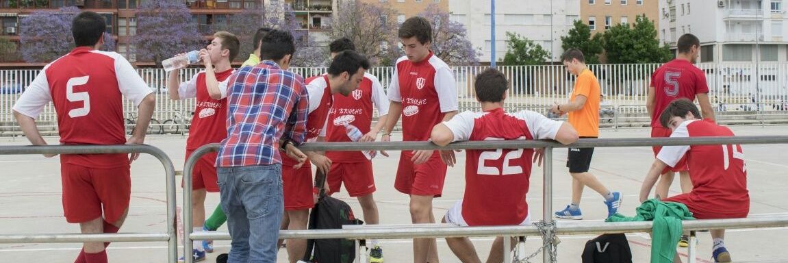 Los Mandingos FS banner
