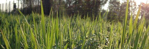 nkeim Profile Banner