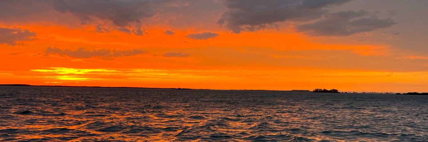 pashell's profile banner image