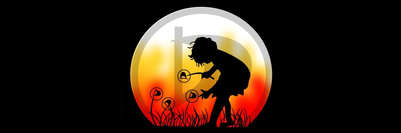 SolingerPiraten's profile banner image