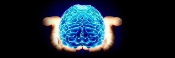 Tom Haselager banner