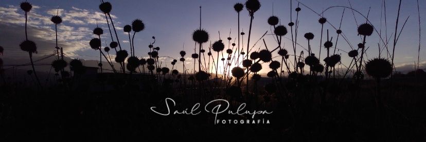 SaulPulupa's profile banner image