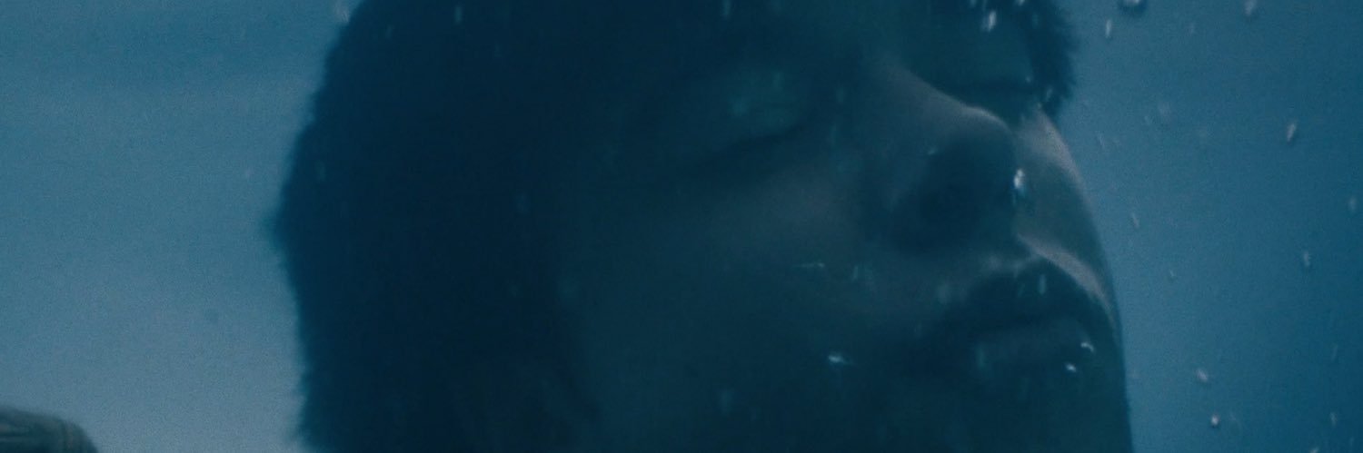 Georgina Cammalleri banner