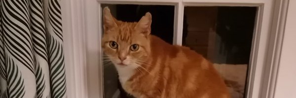 DanDeacon Profile Banner