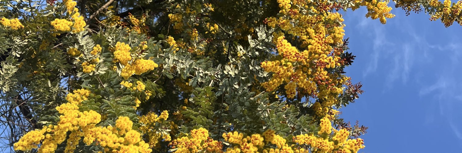 はちはな（もうふ） banner