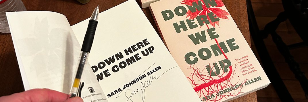 SaraAllen's profile banner image