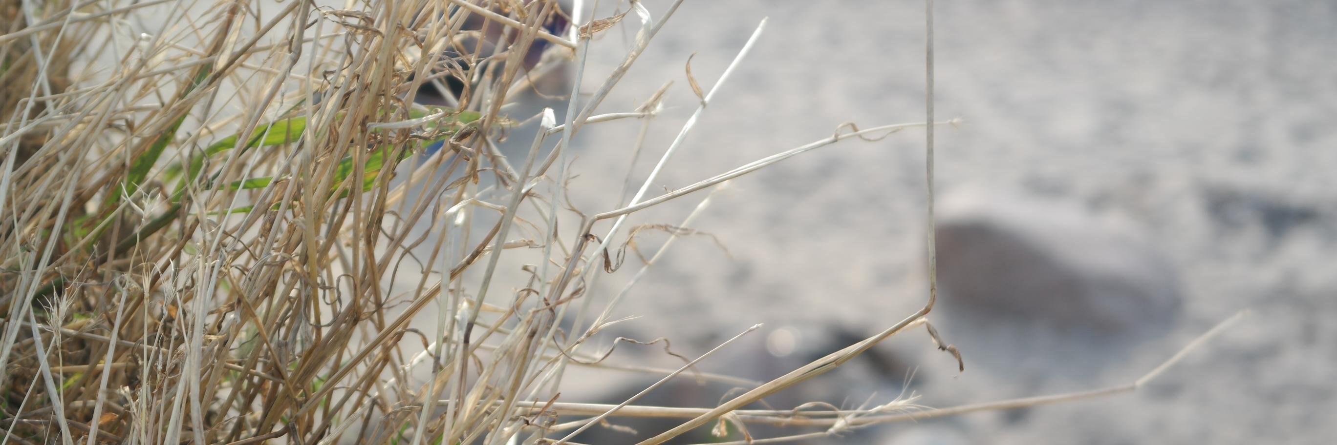 iMasquerades's profile banner image