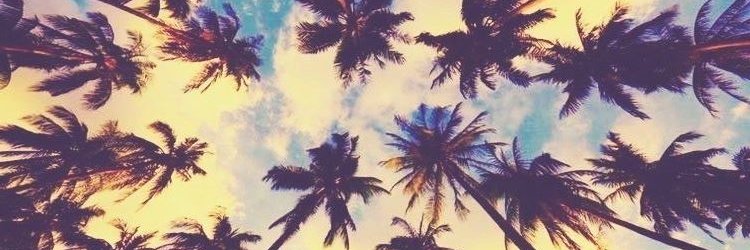 tropicococooo_o's profile banner image
