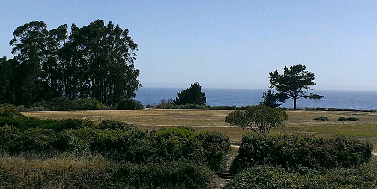 PoolGuyMark's profile banner image