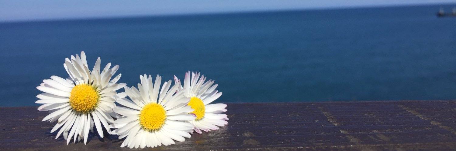 RCansever's profile banner image