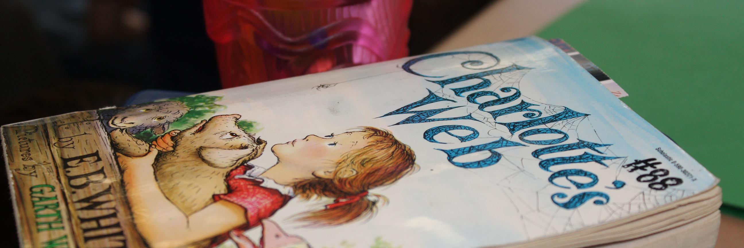 Eva Boster Kohlmoos banner