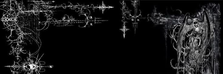 kylo banner