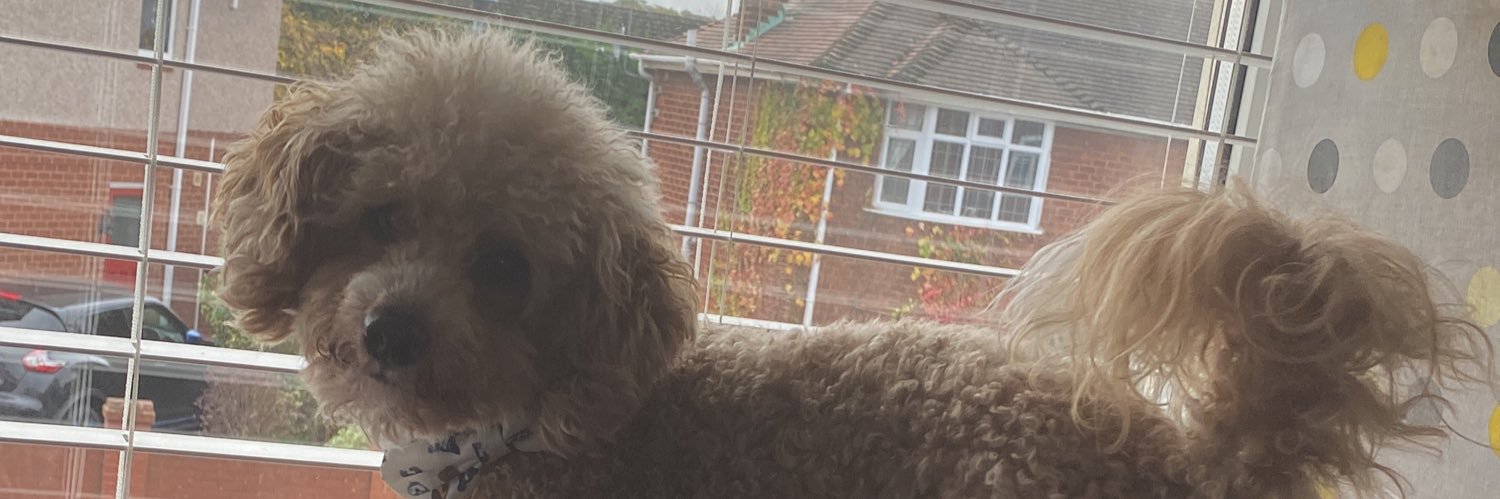 lisakelly181's profile banner image