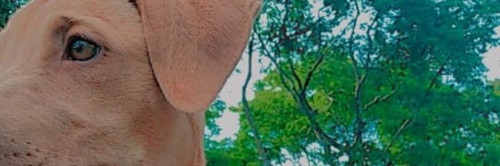 1809_crf's profile banner image