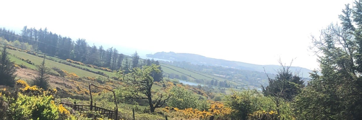 AlixGaunt's profile banner image
