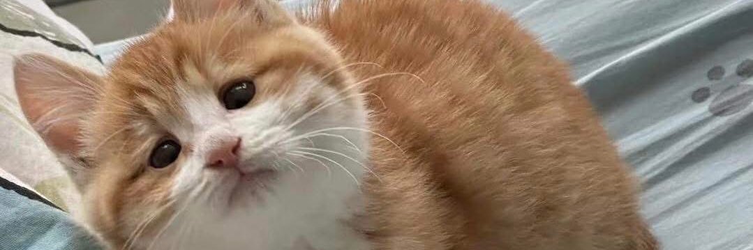 កូន អ្នកកំពង់ឆ្នាំង banner