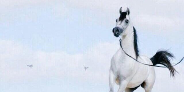 FG2OFG's profile banner image