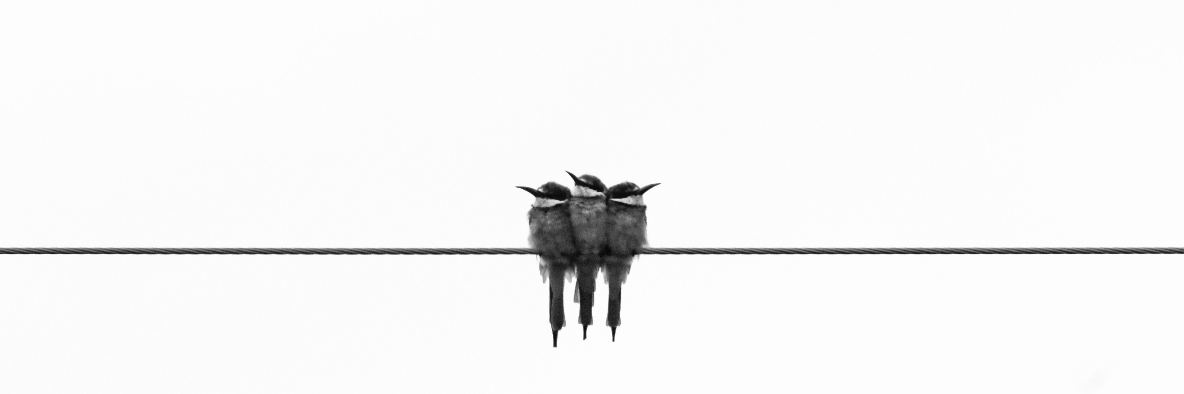 chrisbachmannch's profile banner image
