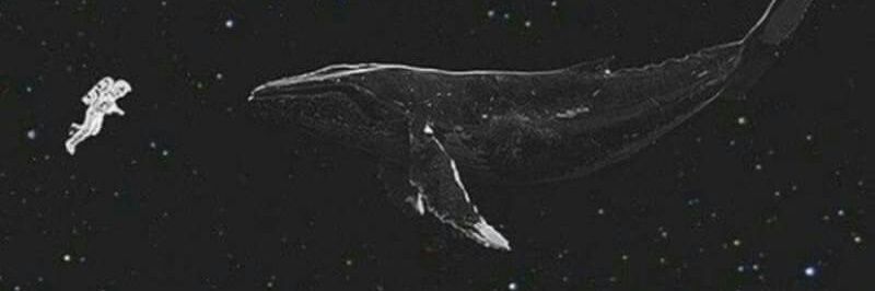 wizking2158's profile banner image
