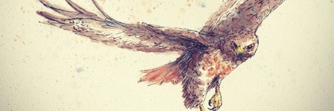 felicityjay's profile banner image