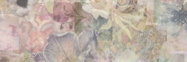 анора // k ia banner