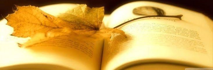 Library_CS's profile banner image