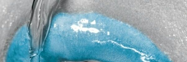 Annerieke Vogel-Some banner