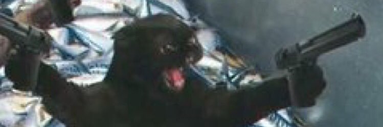 ecerrkmen's profile banner image