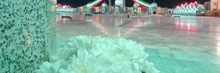 نرگس آشوری's banner