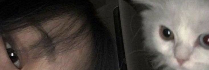 M. banner