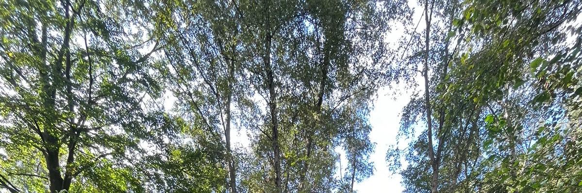 J_Frackss's profile banner image
