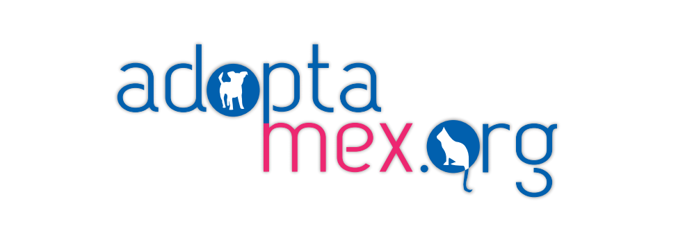 Adoptamex's profile banner image
