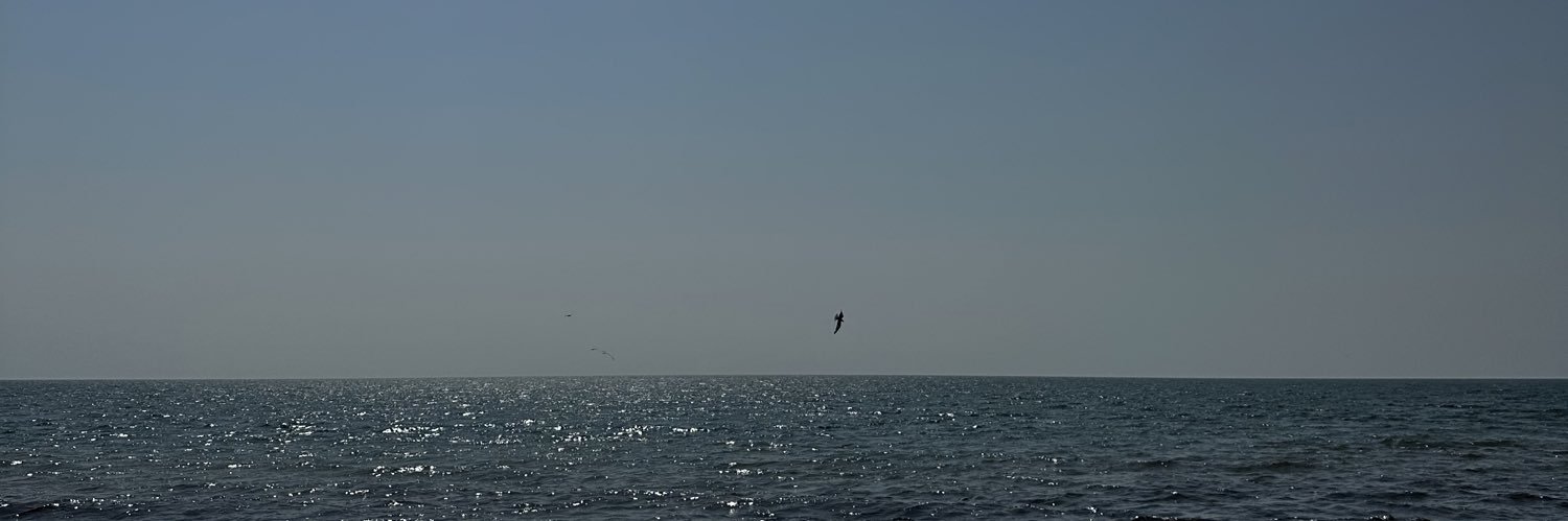 خ|المعلوي banner