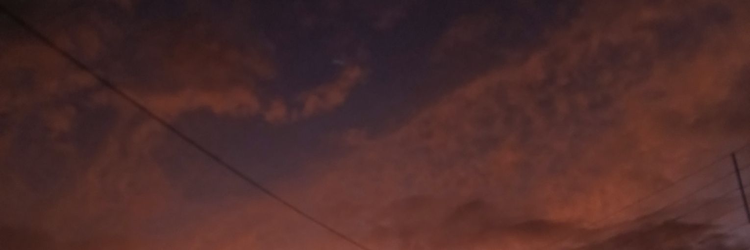 Dudex_ banner